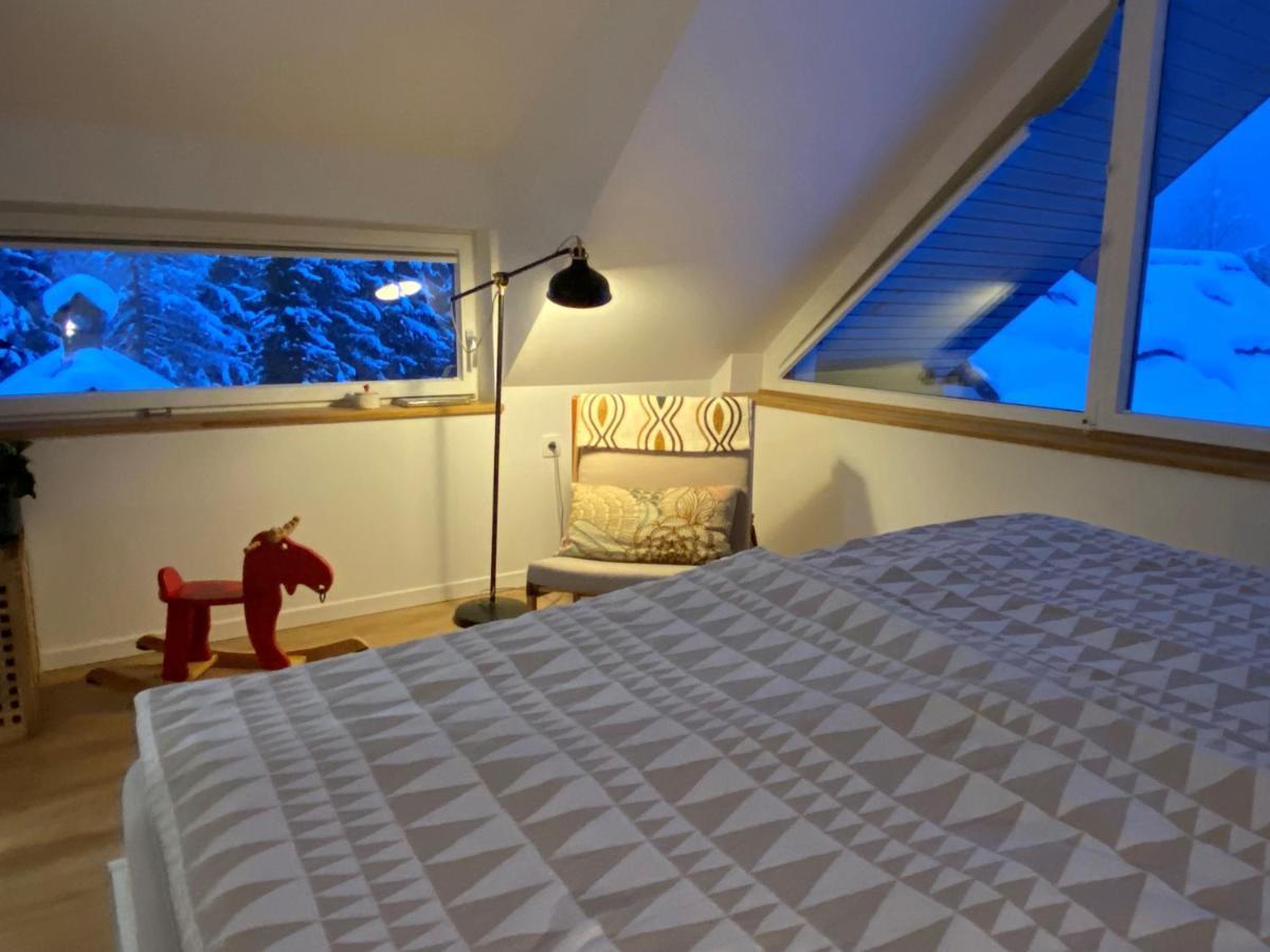 Apartment Zidana Marela - Attic With A View 크라니스카고라 외부 사진