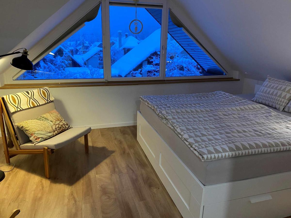 Apartment Zidana Marela - Attic With A View 크라니스카고라 외부 사진