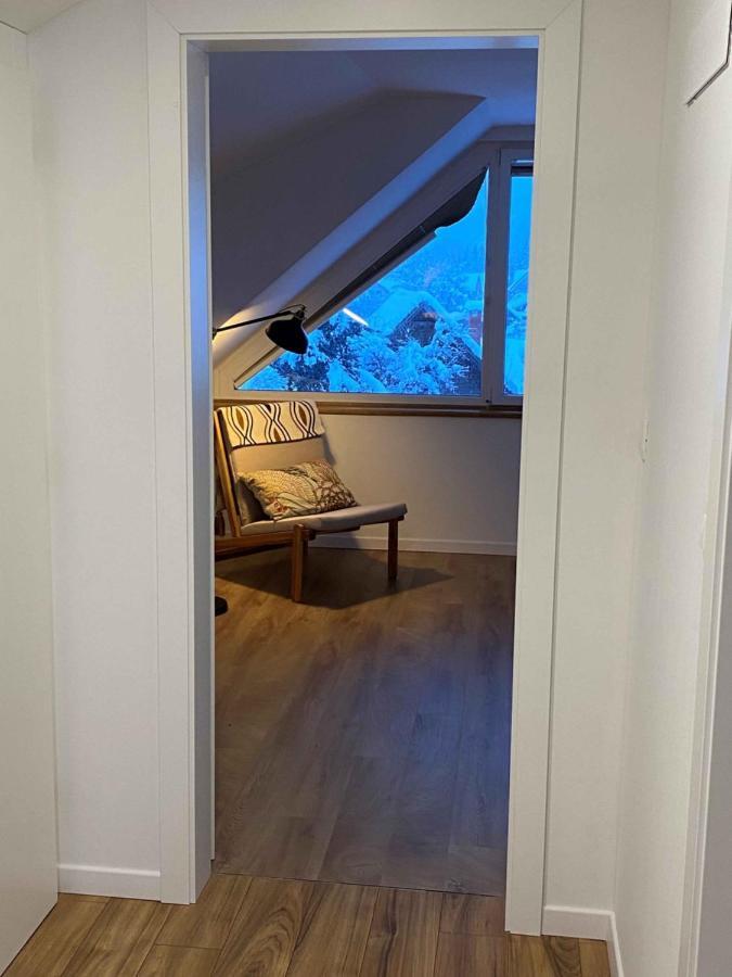 Apartment Zidana Marela - Attic With A View 크라니스카고라 외부 사진